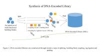 DNA-Encoded Library image 1